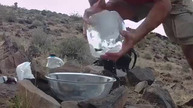 Kind person leaves ice water for fox family in desert heat. 