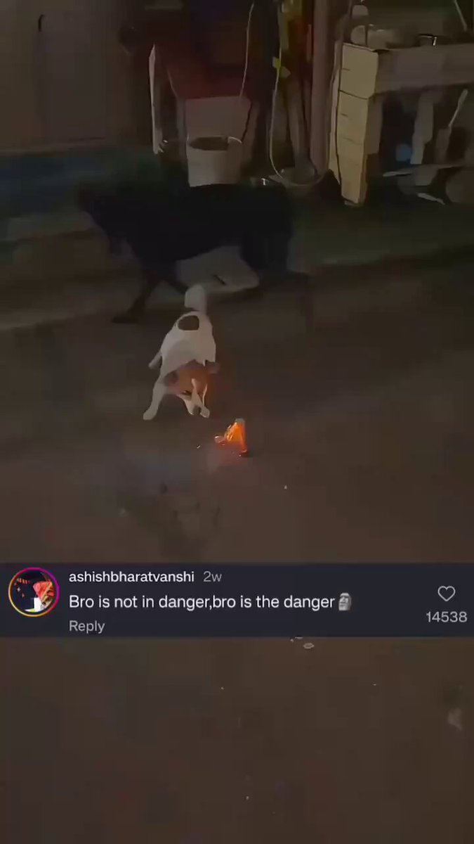 Bro calls 911 and asks what's their emergency 
