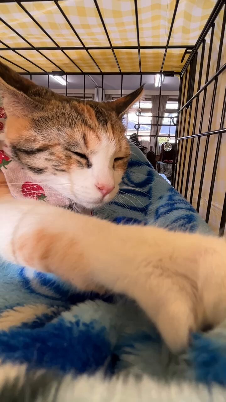 これを見た人は去年の1月の画像を貼る - Search / X