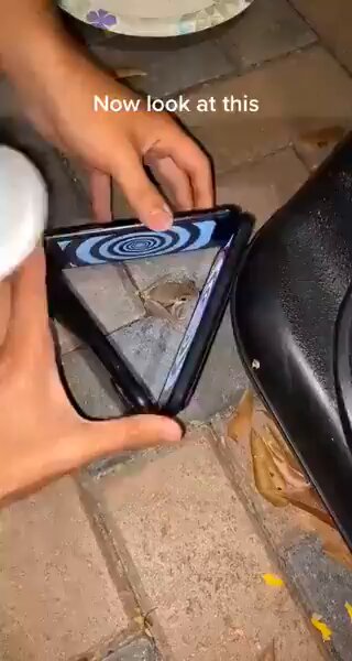 This frog has had enough 