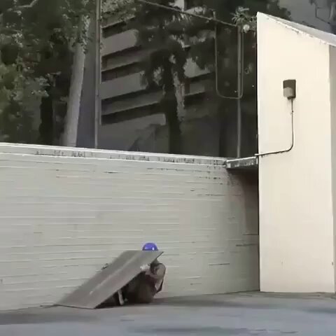 20th time watching this I noticed the second cop smiling 