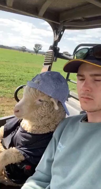 This is the best thing i’ve seen today 