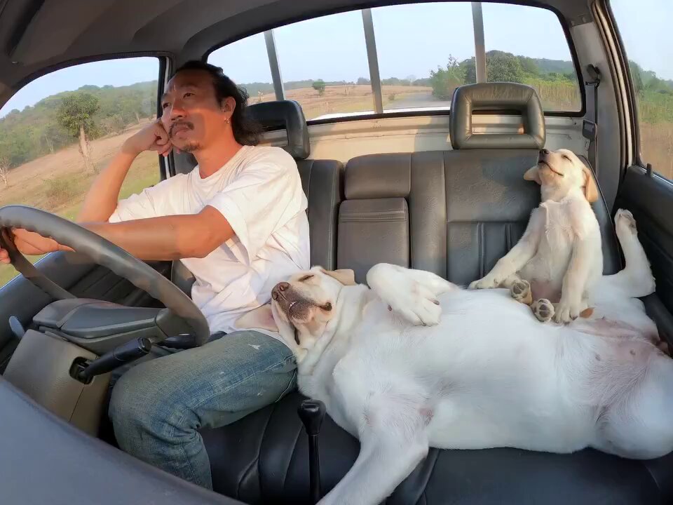 This man has found pure peace and pure happiness. 