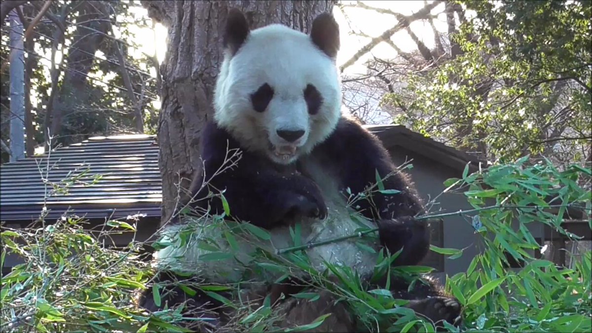 たんたんさん。ご確認お願いします たんたんさんと