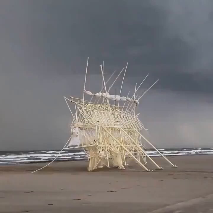 These 'Beach Animals' created by Theo Jansen are wind-powered creations that elegantly merge art and engineering, walking on their own. 