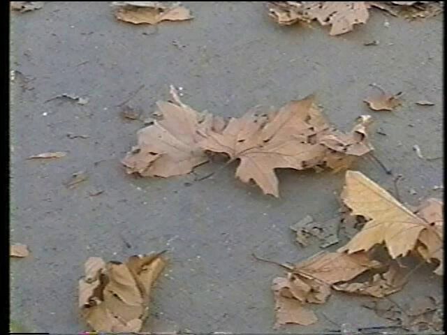 てるてるあふっ on X: てるてるあふっ on X: