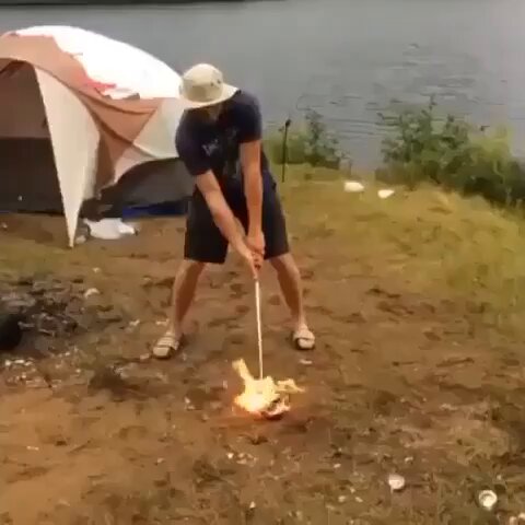 Natural selection 