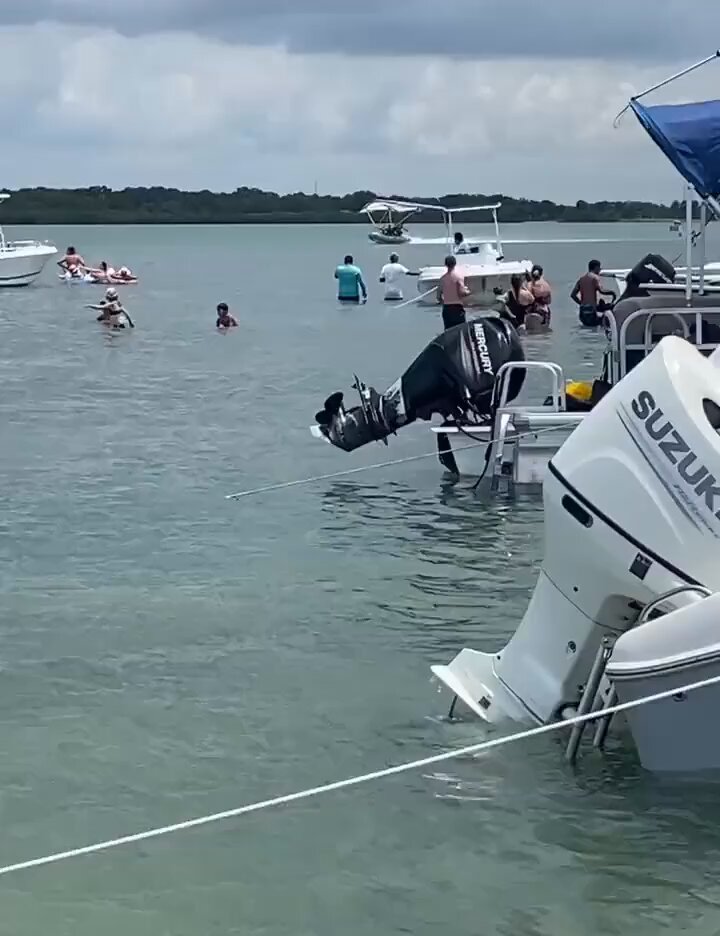 what the hell is going on in Florida 