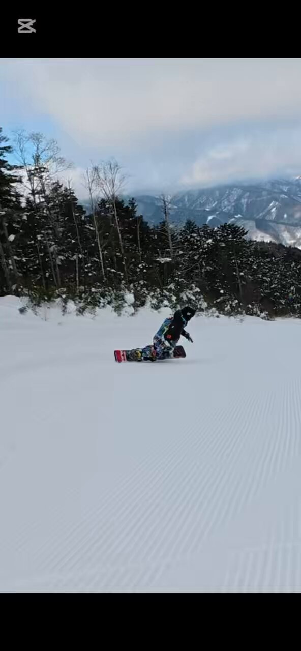 STYLE スタイル｜Alpen Online