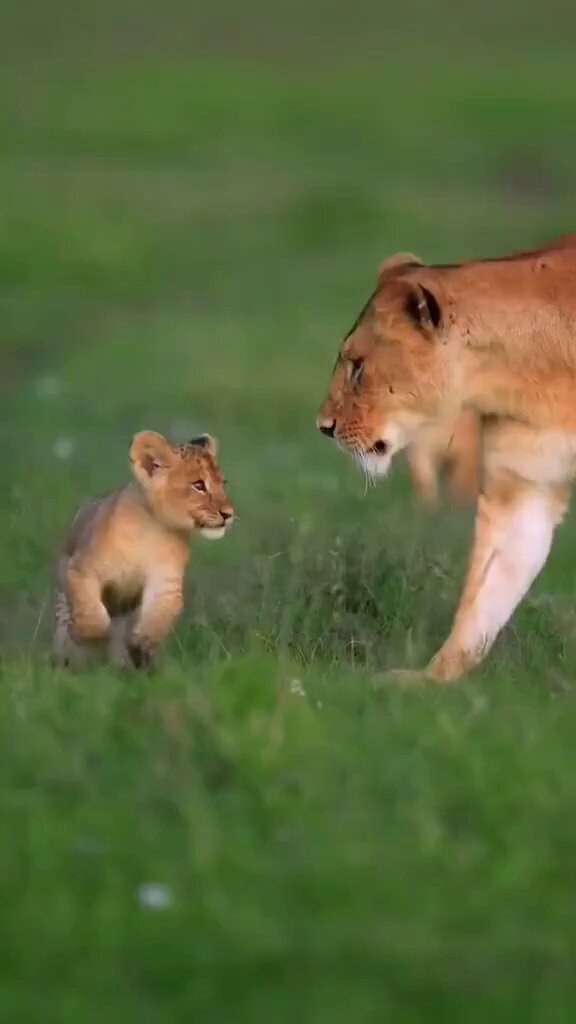 Family is one of the most beautiful things there is. 