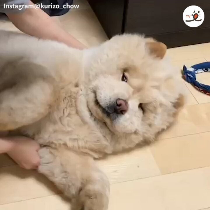 ペコ　おまとめ ペコちゃんまとめ売り 1 コレクション