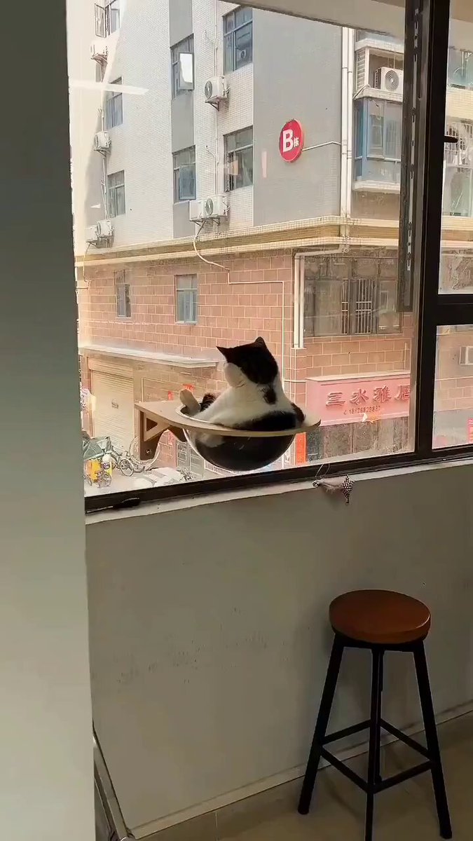 The King 😂 