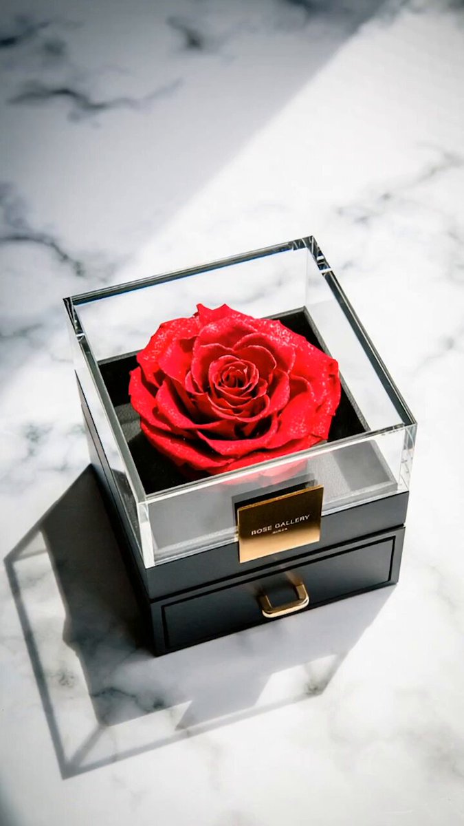 TimelessRose（ by ROSE GALLERY） (@RosegalleryTR) / Posts / X