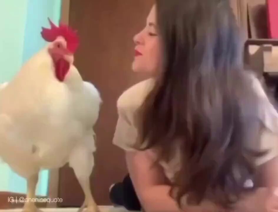 Animals do not know fake love, all their feelings are real. 