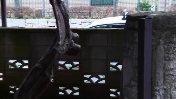 宅配業者が向かう先。 そこは豊な乳房を持つ人妻が待つ家だった。