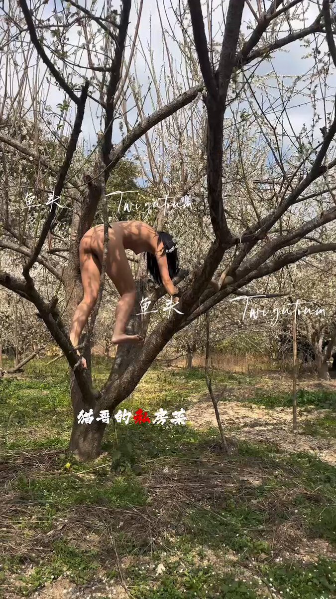 畑山夏树
