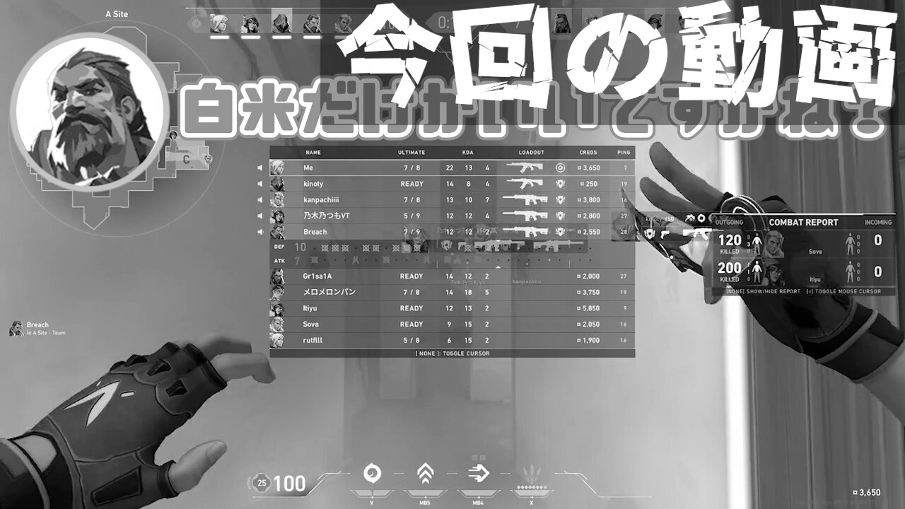 SORAまめページ 色見本カード バーサクラフト そらまめ4色セット 全36色 | 全て