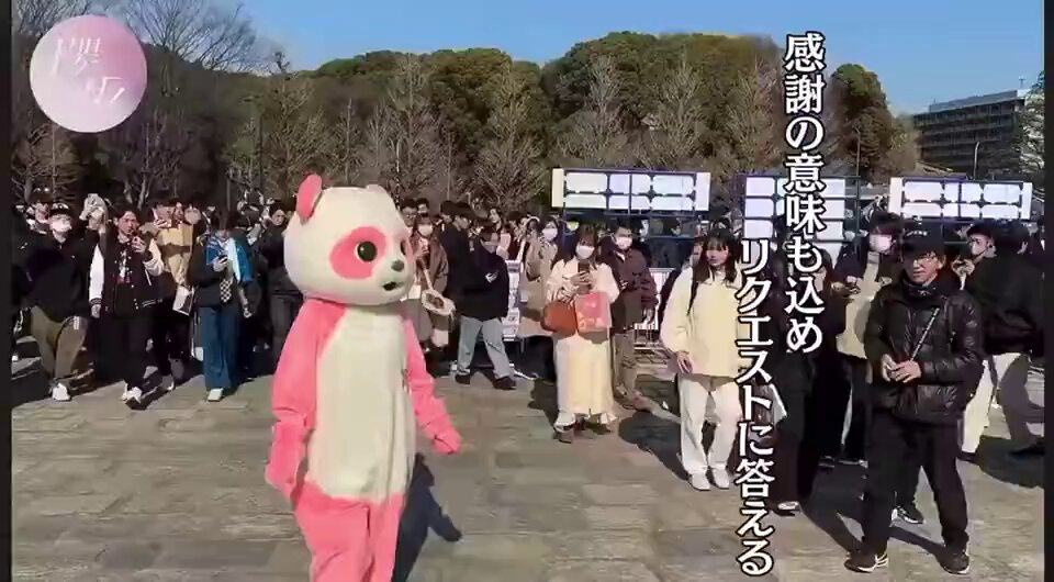 岡ちゃんaka.ちゃんおか🗿🐙 (@littleyahosuoka) / X 岡ちゃんaka.ちゃんおか🗿🐙 (@littleyahosuoka) / X