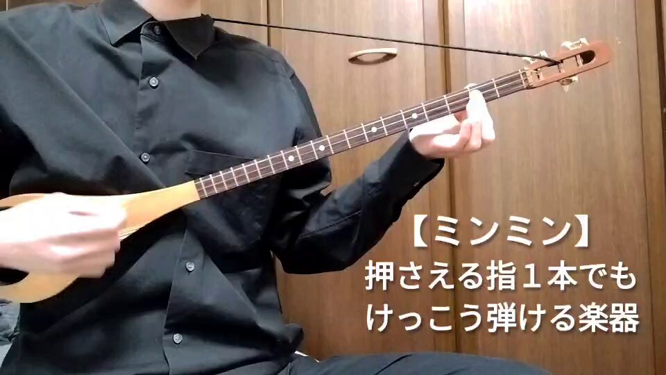 みんなの民族楽器 ミンミン MinMin ギター 3弦 廃盤 （誰でも