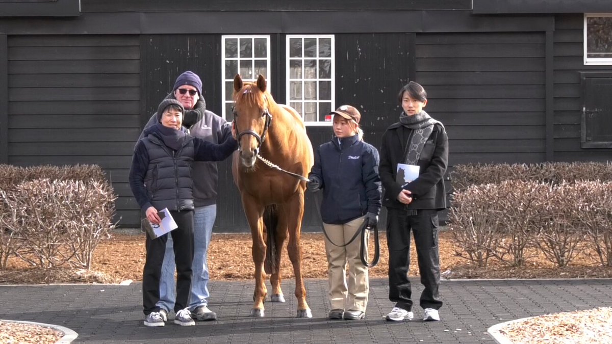 ダーレージャパン展示会グッズ Darley in Japan on X: