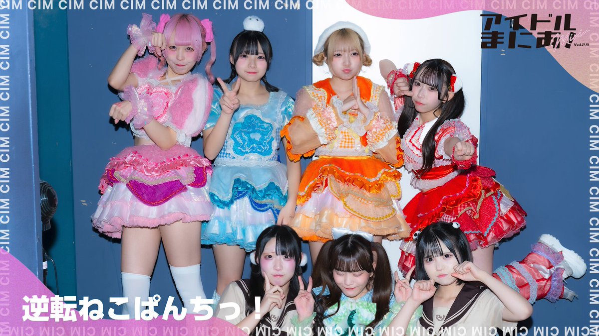 あいにゃん様　オーダー 2点セット】TORA トラ ヒョウ柄 [せいせいちゃん着用] vcsot