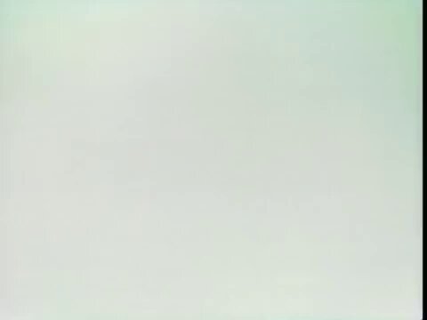 Twitter Image