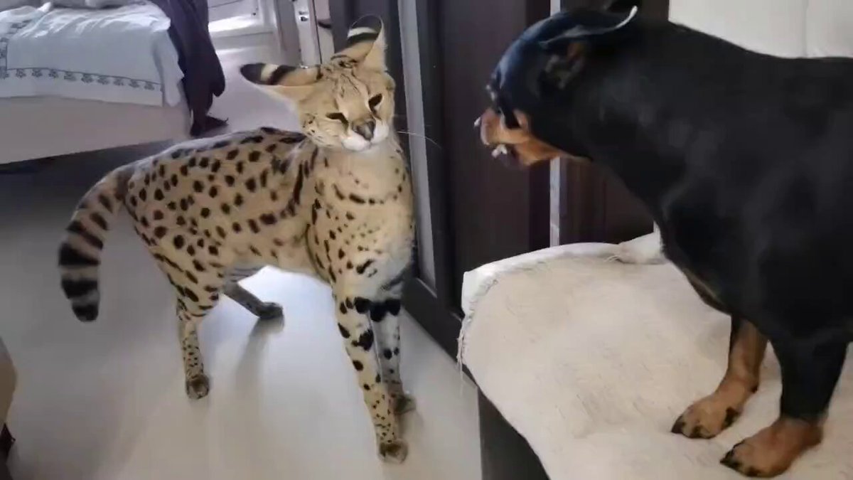 notebook (@notebook383) / Posts / X