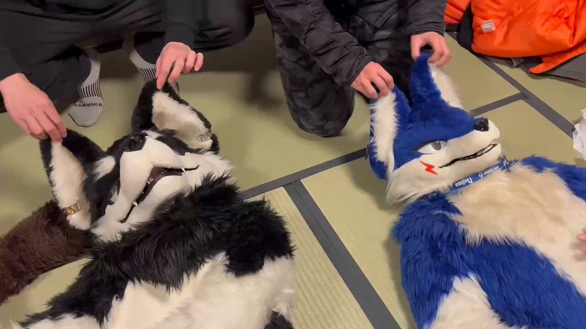 H様専用)スウェーデンドール・シャム猫くん ブランケット お