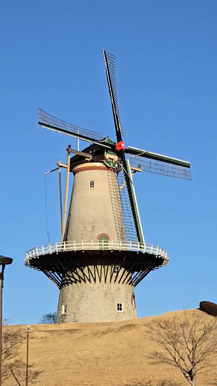 オランダ♡ オランダのアムステルダムへ行ってました✈️🇳🇱 とりあえず街