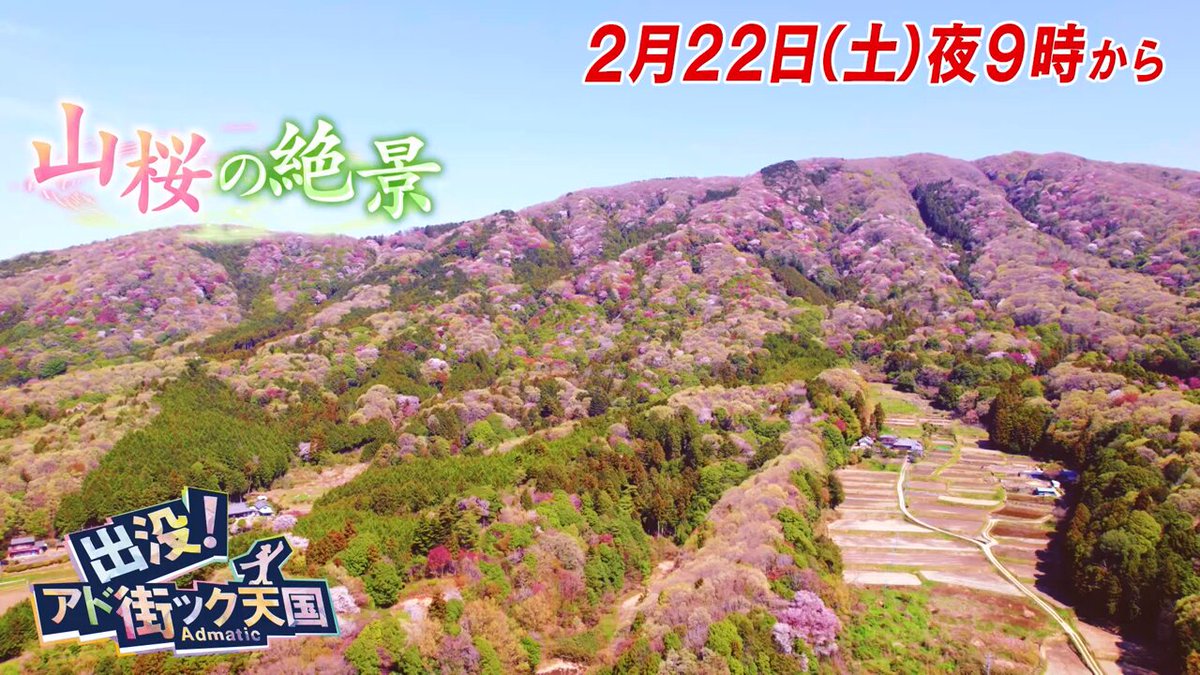 結城巧 山桜