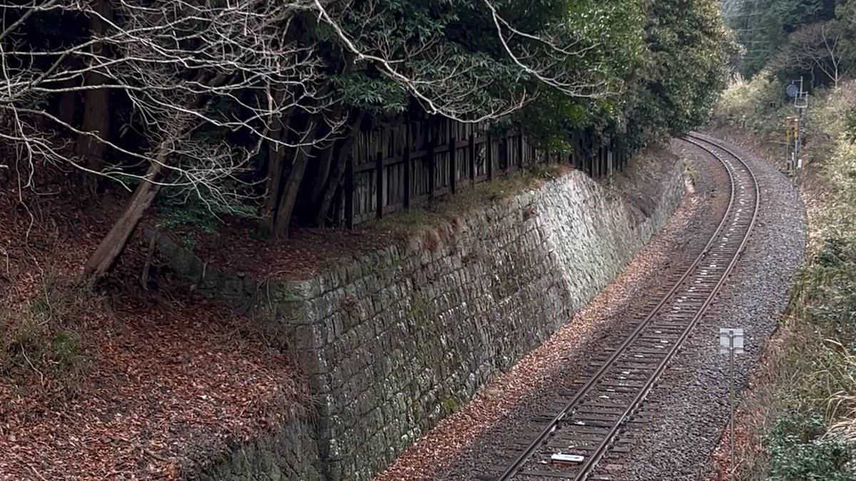 Twitter Image