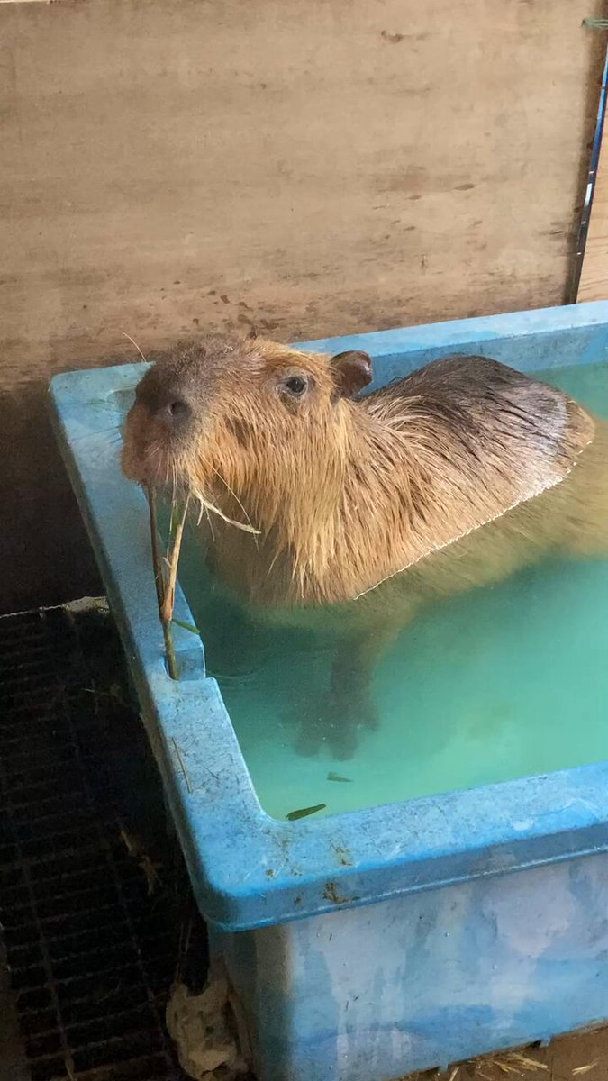 動物園学 000000020346_JKk1Ut8.jpg