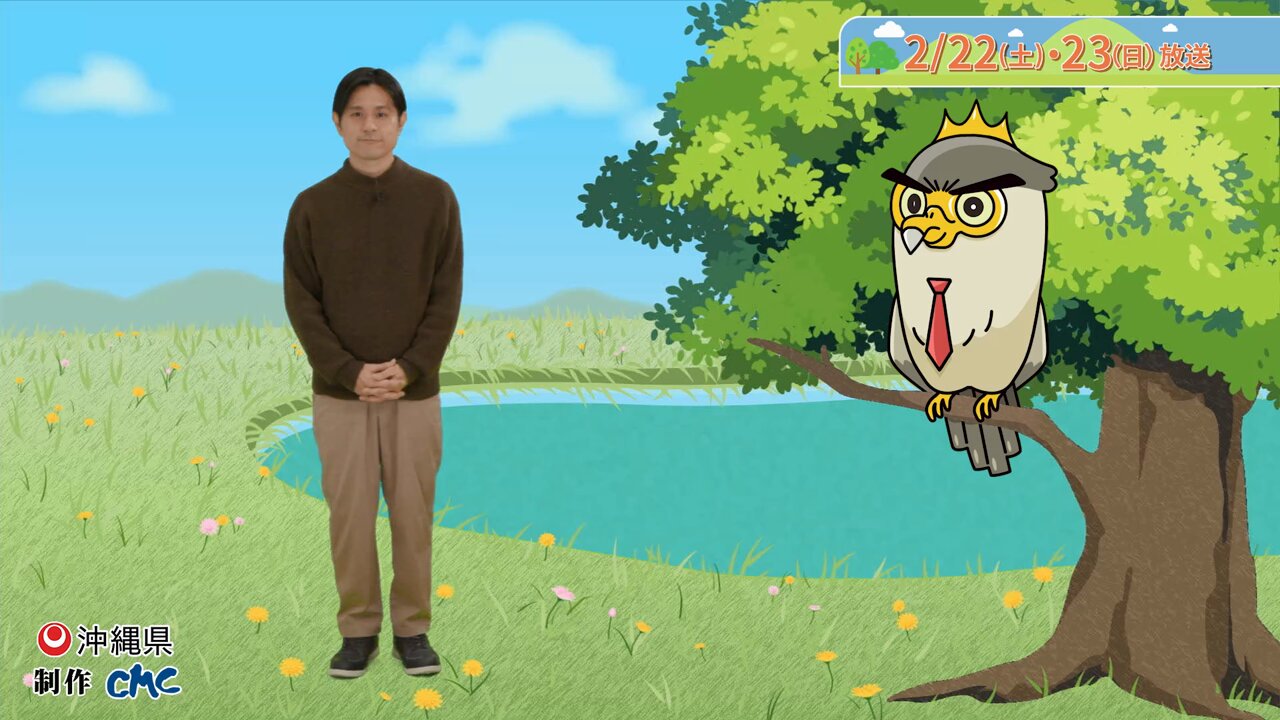 沖縄県庁広報課 on X: 