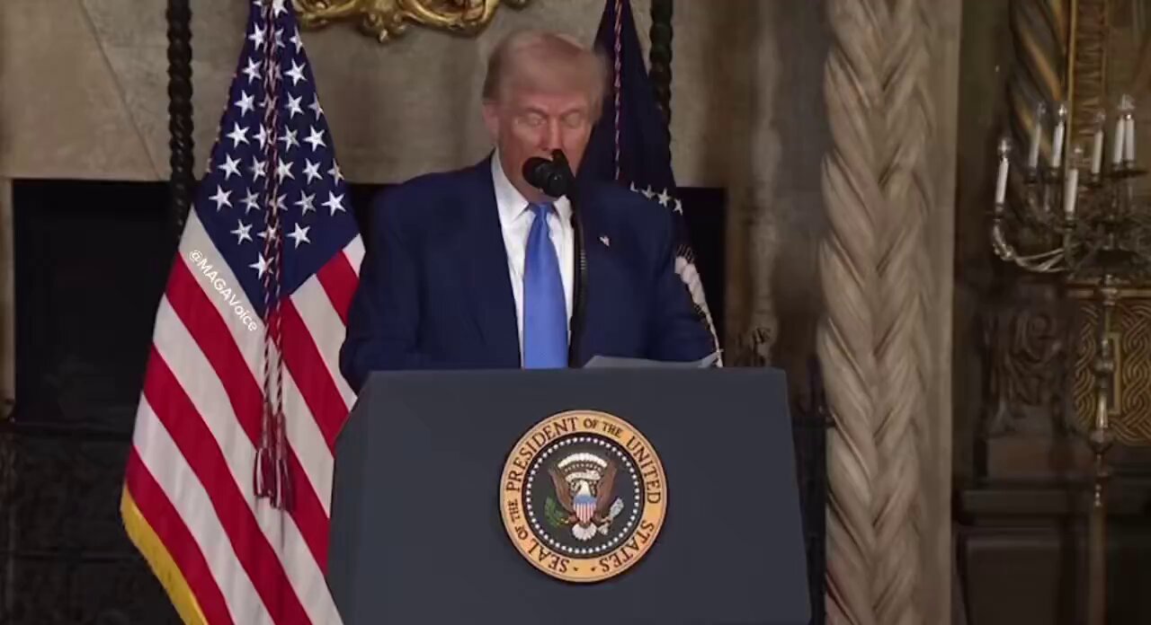 Libs of TikTok (@libsoftiktok) on X