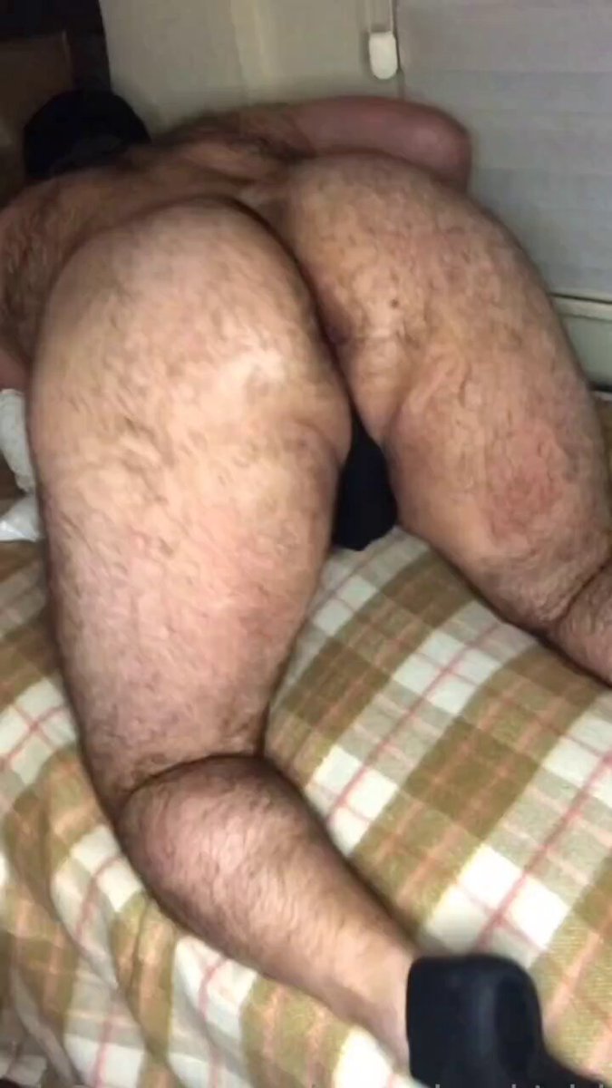 @realturkisbears video Tweet
