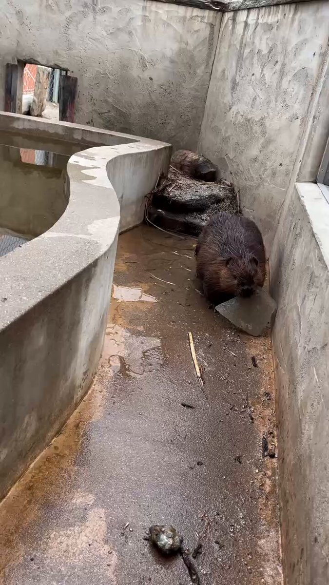 ちゃむ (@duex0502) / Posts / X