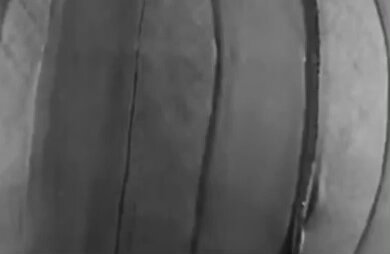 Video oleh @kazumarugou