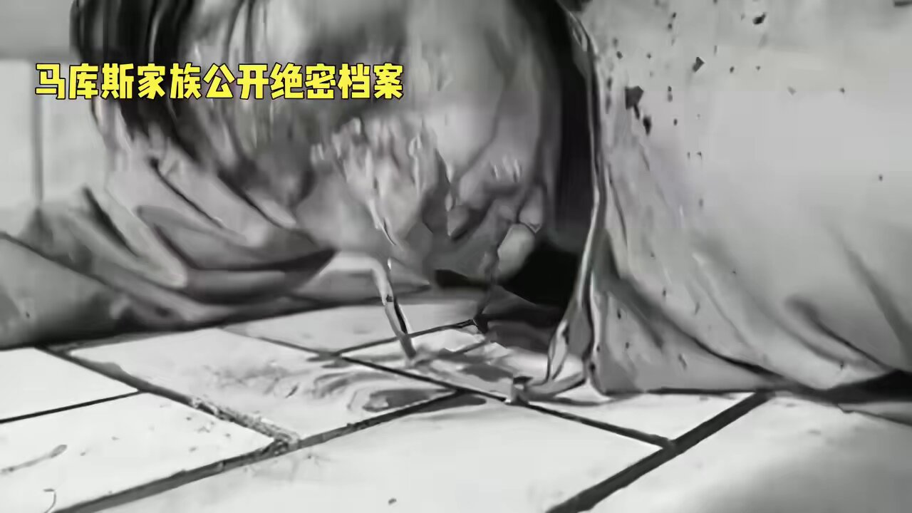 陈木林on X: 