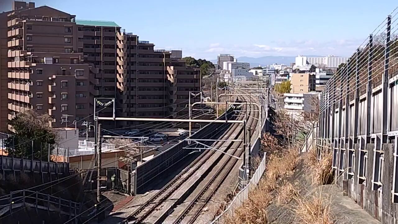 しょうちゃん on X: 