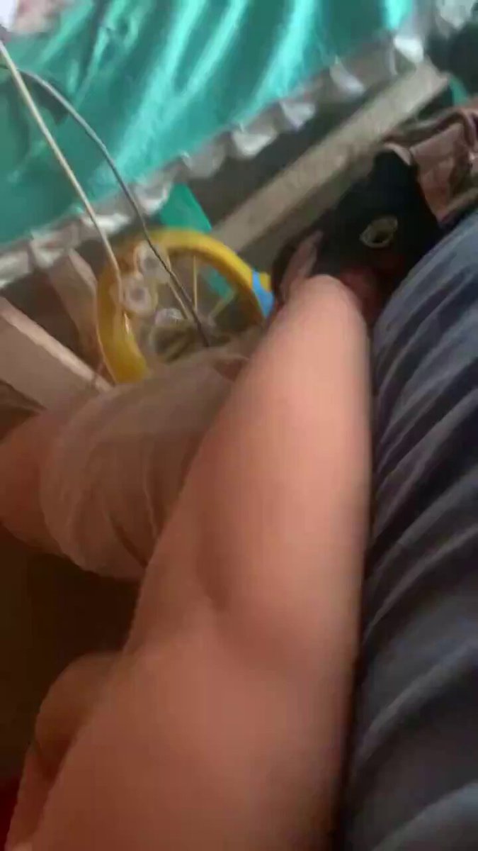 Semiz ayollarning yuzlariga siqish