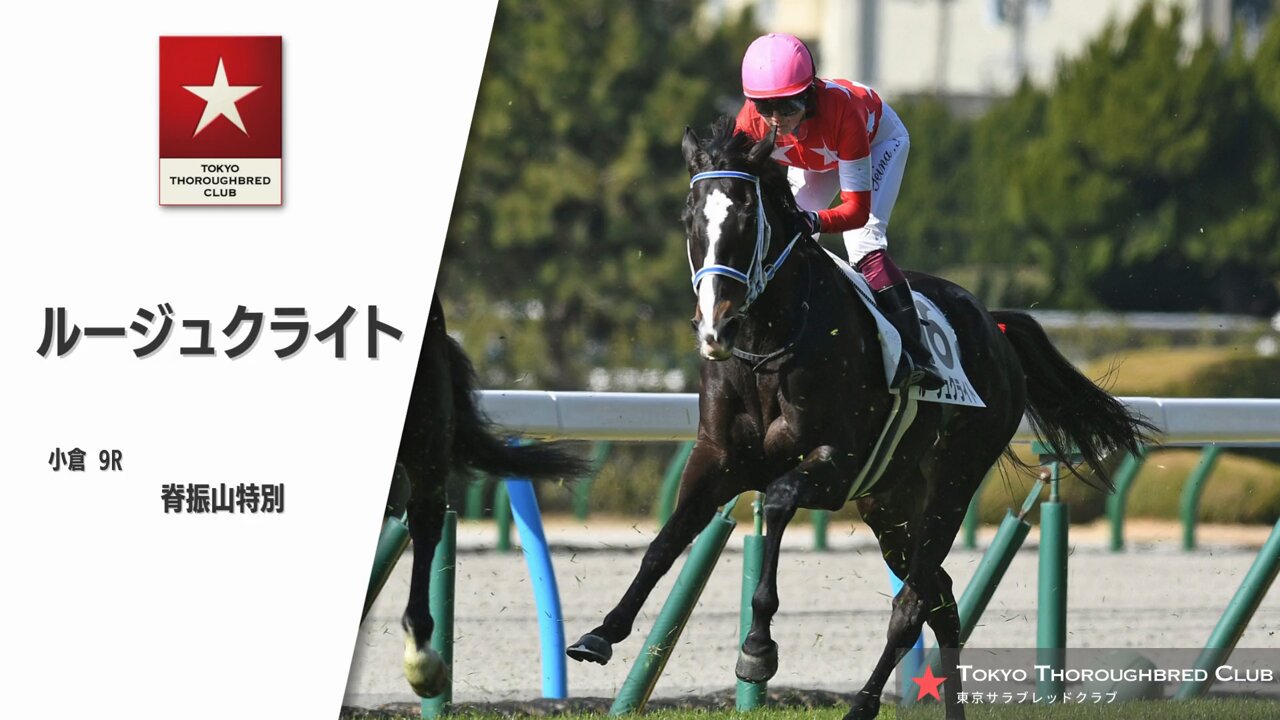 公式】東京サラブレッドクラブ on X: 