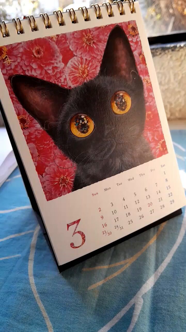 画家・福嶋吾然有さん作　原画　チャトラ　猫　ねこ 福嶋吾然有 原画 ネコ