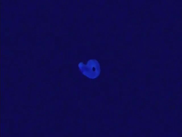 Video oleh @anime8cm