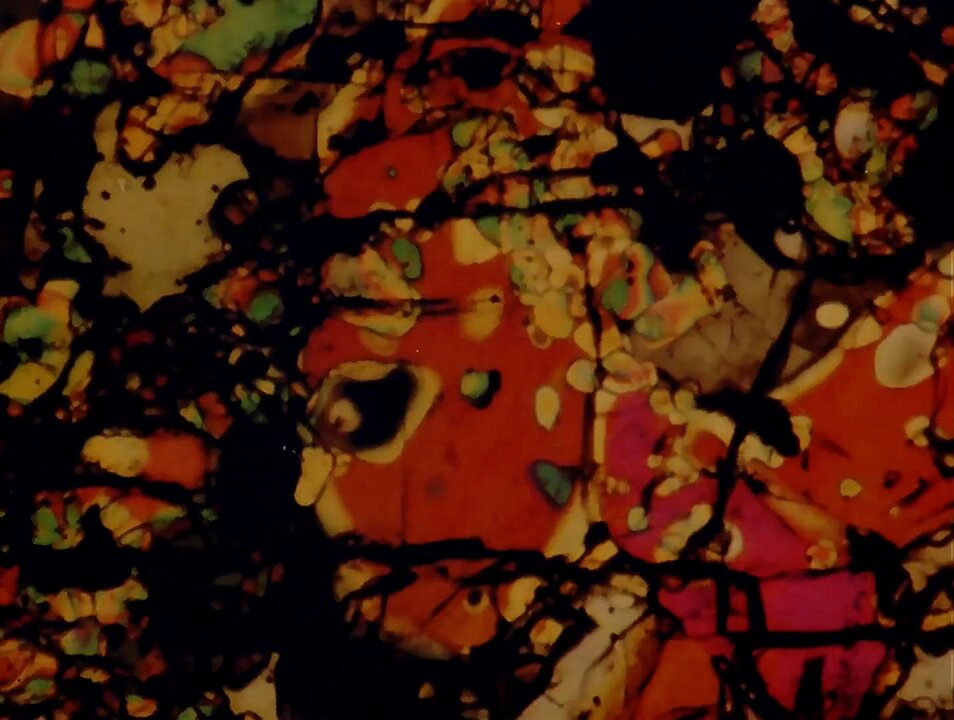 Video oleh @anime8cm