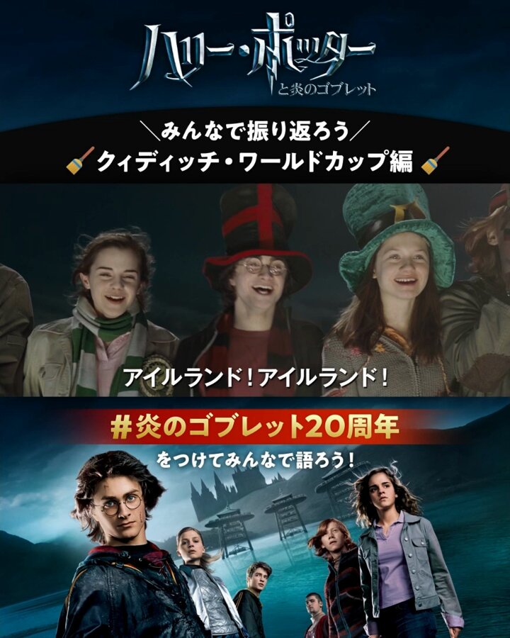 非売品)ハリーポッター 炎のゴブレット B1 映画ポスター ハリー・ポッターと炎のゴブレット : ポスター画像 - 映画.com