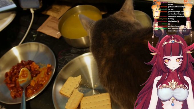 pussy reveal https://t.co/9JD8ww1DdF