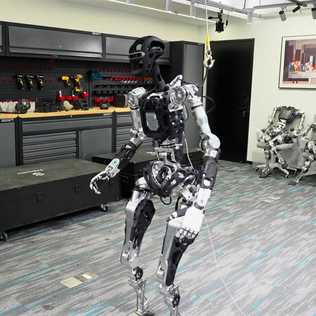 し*け様 WBSB×HUMAN ROBOT:PANDEAD(Chinchiro) Wbsb Human Robot Pandead Chinchiro | eBay