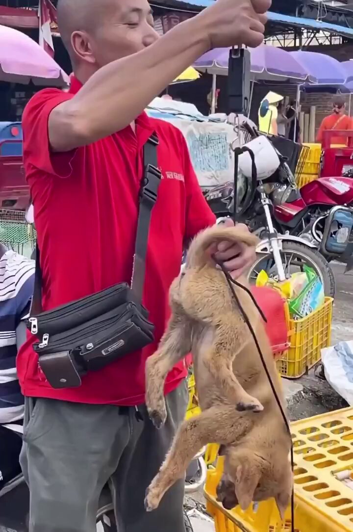 Video oleh @qsfkbwIhuWLhnjI