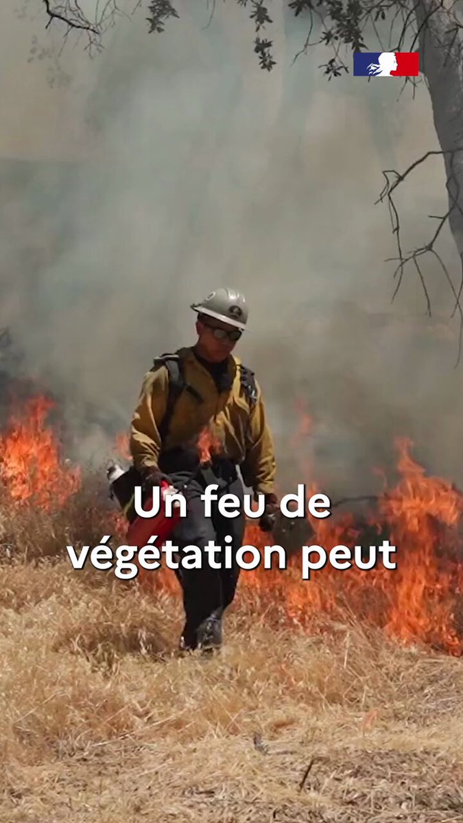 Image de Préfète Centre-Val de Loire et Loiret