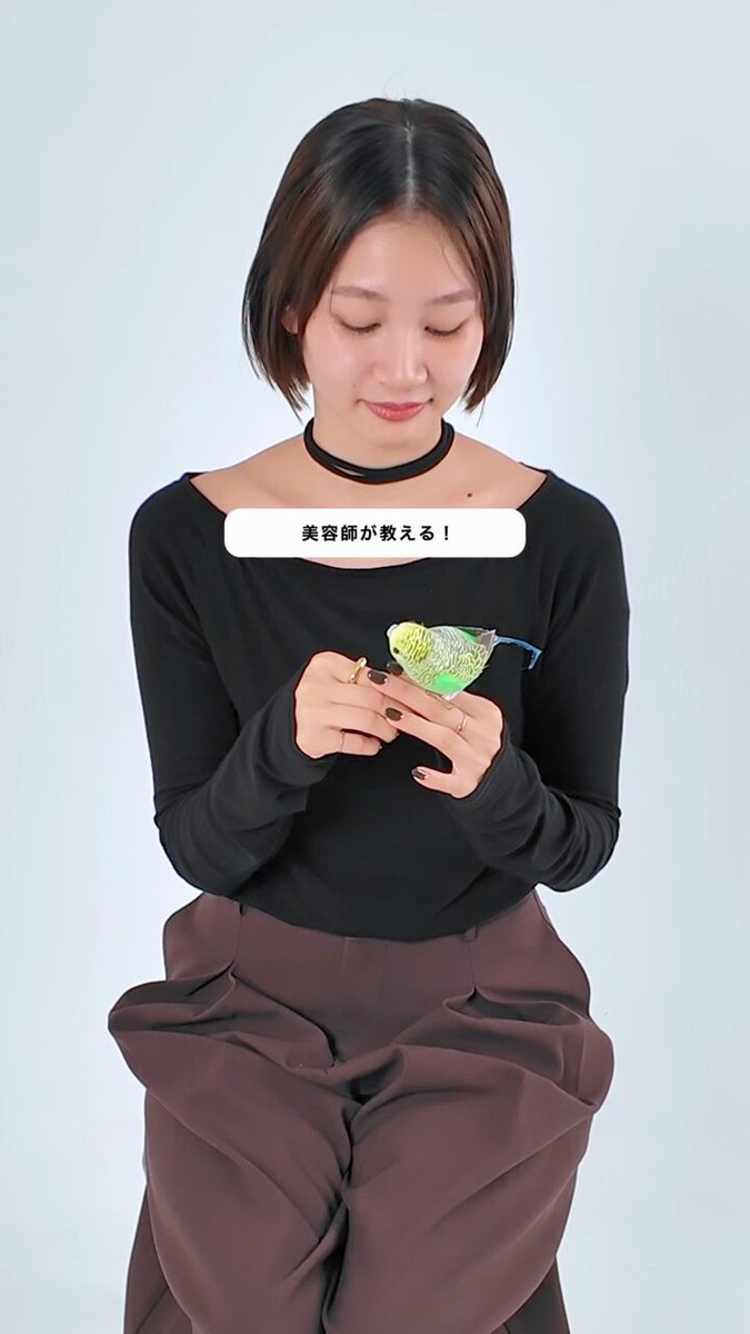 SALONIA (サロニア) (@salonia01) / X SALONIA (サロニア) (@salonia01) / X